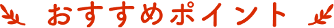 おすすめポイント