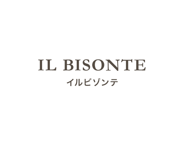 IL BISONTE