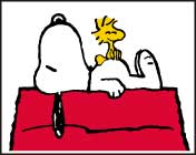 ピーナッツ/PEANUTS