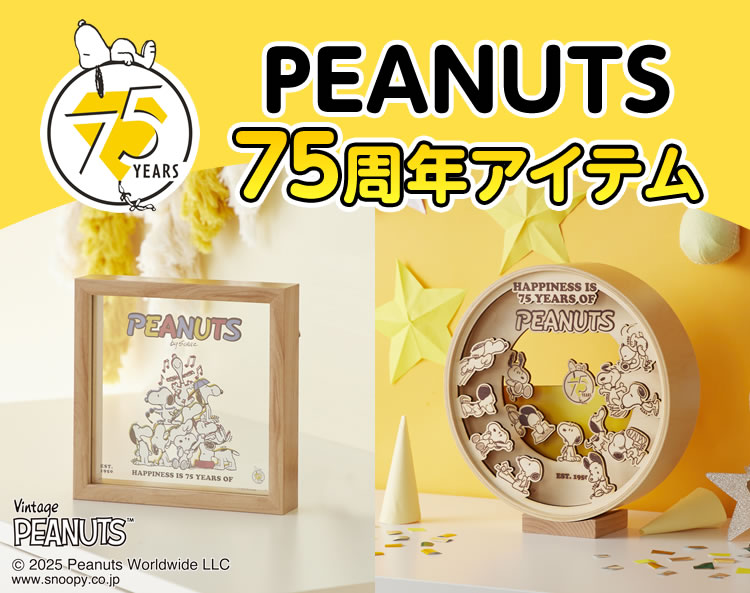 PEANUTS 75years LOOK BOOK PEANUTS 75years LOOK BOOK