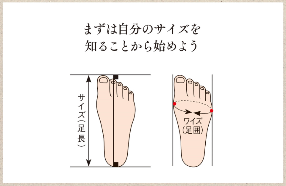 サイズとワイズ