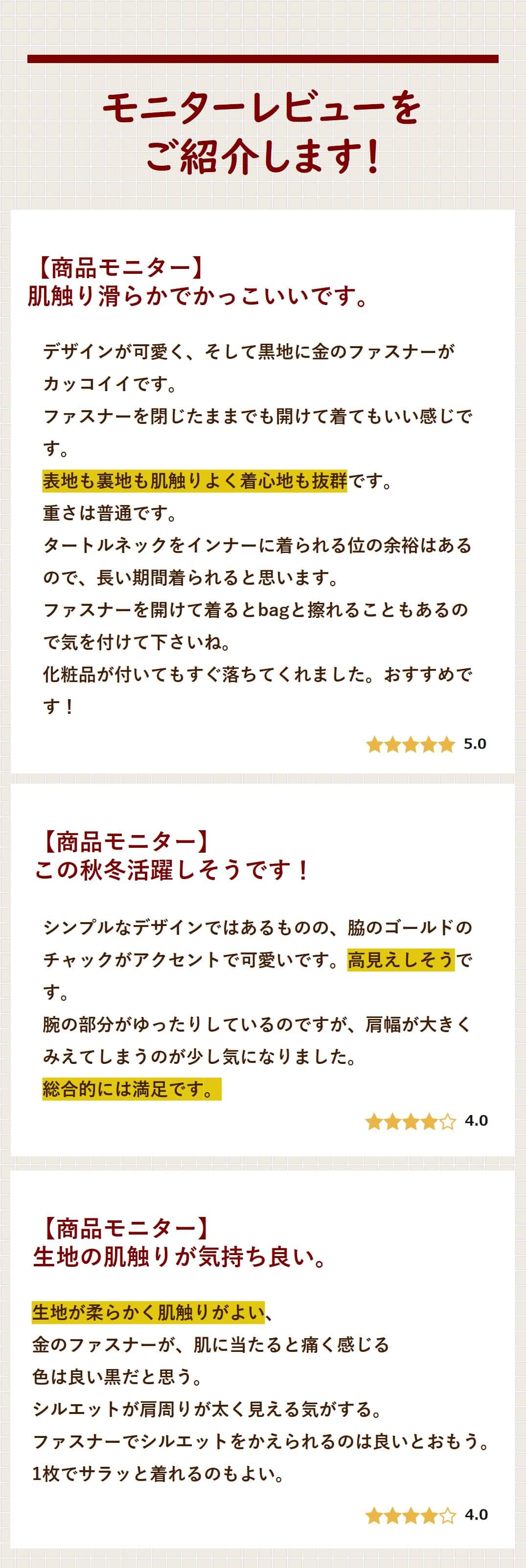 モニターレビュー２