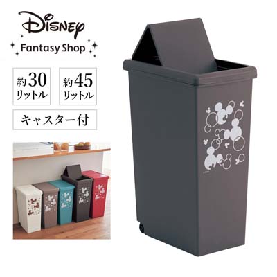 スライドダストボックス「ミッキーモチーフ」