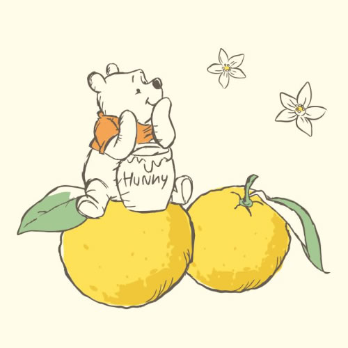 ゆず香る森へ