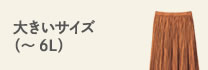 大きいサイズ（～6L）