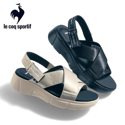 LCS ロワール