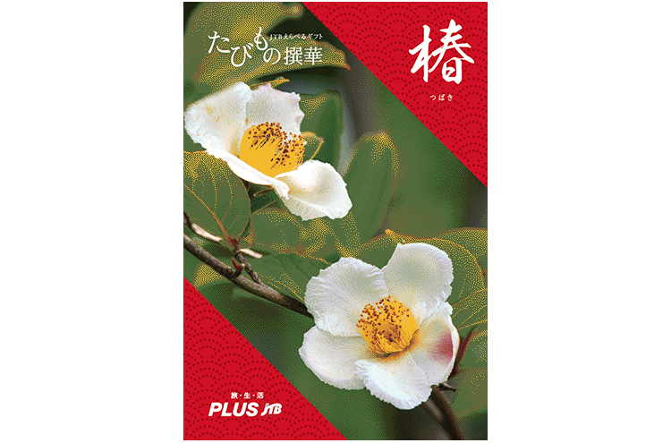 たびもの撰華・椿コース