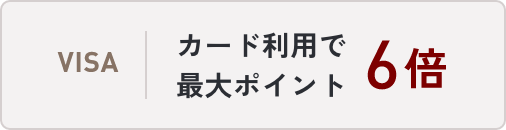 VISA カード利用で最大ポイント6倍