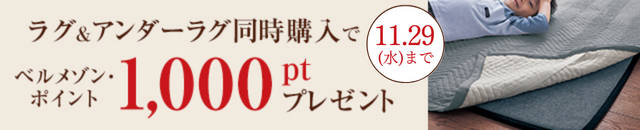 アンダーラグ＆ラグ同時購入ptプレキャン