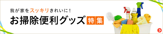 便利なお掃除グッズ