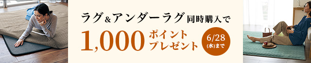 アンダーラグポイントプレゼントキャンペーン