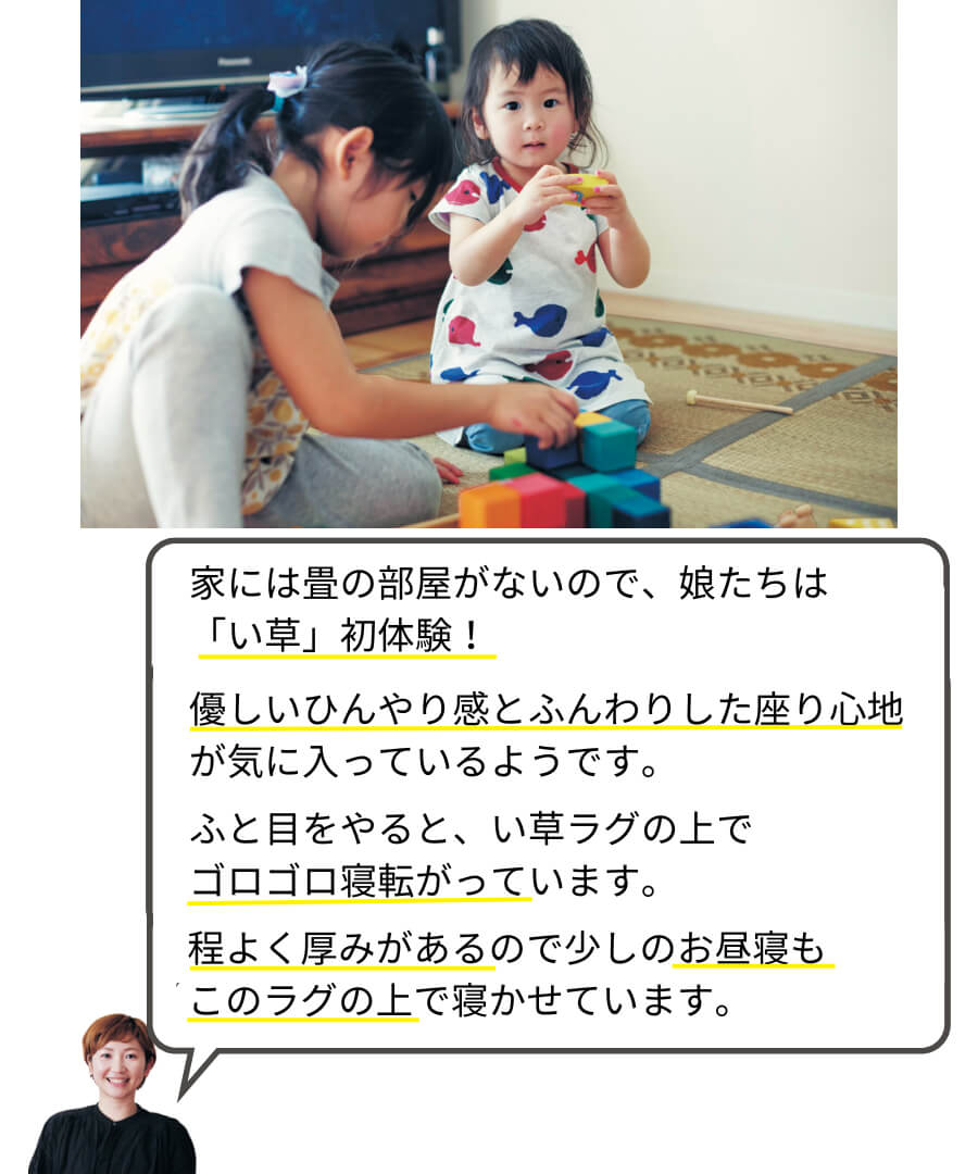 コンパクトにたためるウレタン入りい草ラグ＜ボリュームタイプ＞ 
