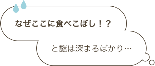 なぜここに食べこぼし！？と謎は深まるばかり…