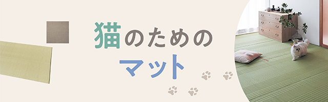 猫とマット