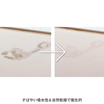 ｓｏｉｌバスマット [日本製]【珪藻土バスマット】