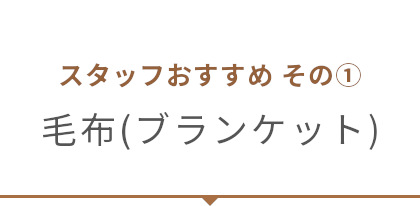 毛布（ブランケット）