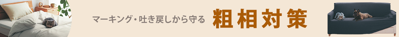 粗相対策