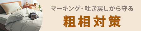 粗相対策 粗相対策