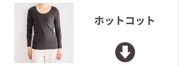 ホットコット