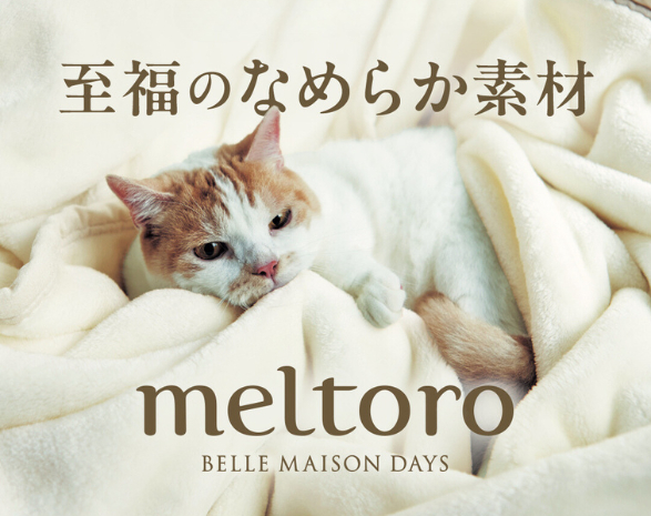 メルトロ
