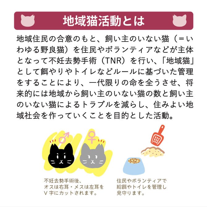 「お弁当やプレゼント包みにも◎」地域猫の活動を応援するチャリティふろしき（小サイズ）2枚セット［日本製］