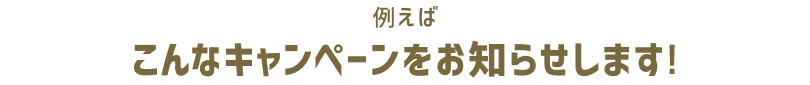 例えばこんなキャンペーンをお知らせします!
