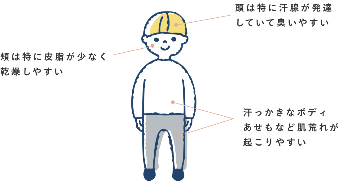 「頬は特に皮脂が少なく乾燥しやすい」「頭は特に汗腺が発達していて臭いやすい」「汗っかきなボディあせもなど肌荒れが起こりやすい」