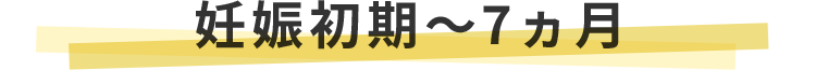 妊娠初期~7ヵ月 妊娠初期~7ヵ月