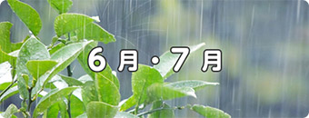 6月・7月