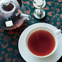 20種類を厳選 世界と日本のお茶が味わえる