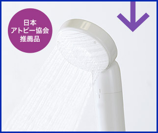 シャワータイプ