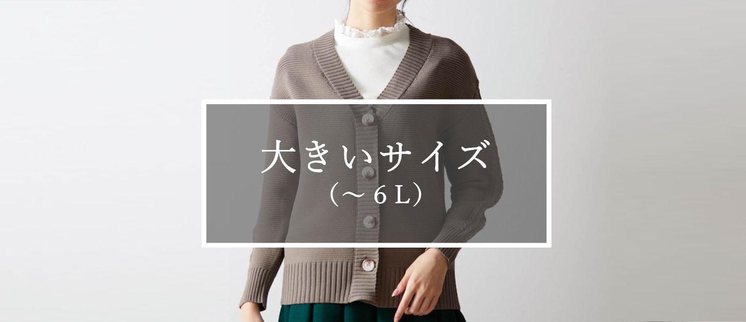 大きいサイズ(~6L)