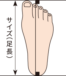 サイズ（足長）