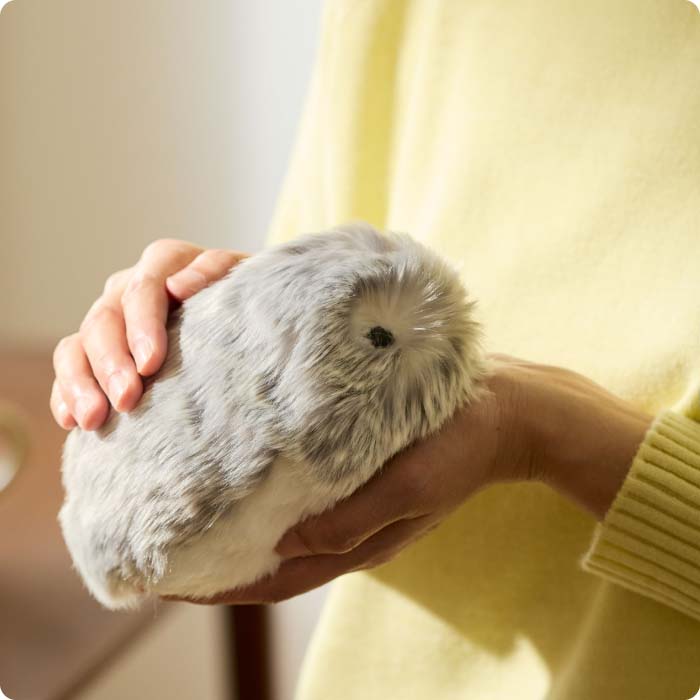 こころであういきものＭｏｆｌｉｎ（モフリン）