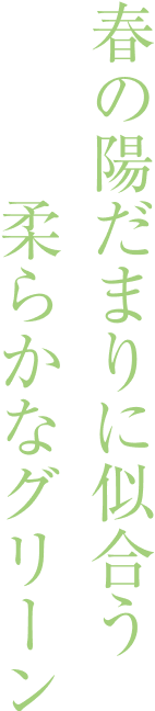 春の陽だまりに似合う柔らかなグリーン