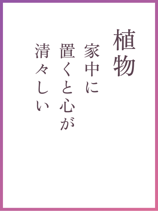 植物 家中に置くと心が清々しい