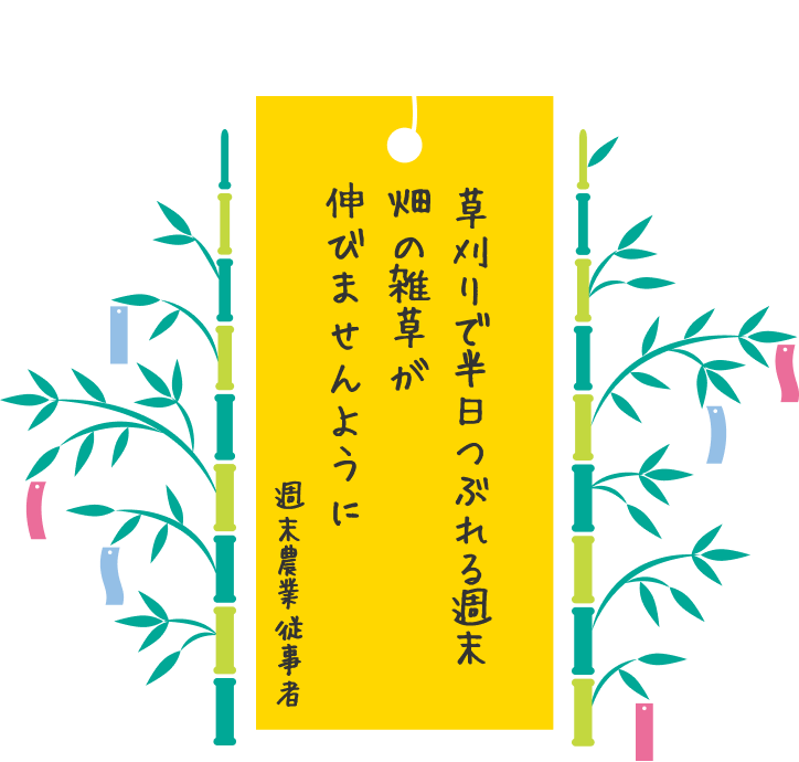 草刈りで半日つぶれる週末。畑の雑草が伸びませんように。 週末農業従事者