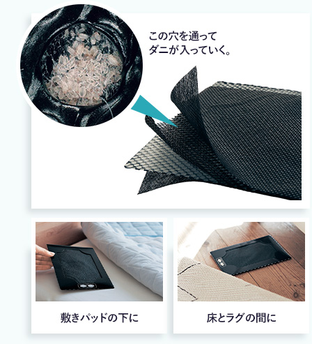 「この穴を通ってダニが入っていく。」「敷きパッドの下に」「床とラグの間に」